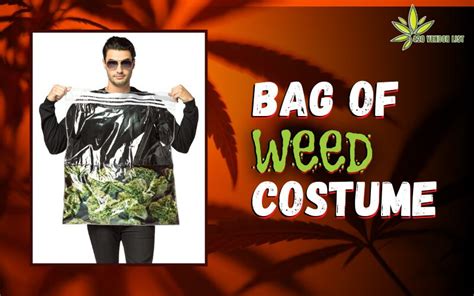 How to Make a Bag of Weed Costume & Other Cannabis 